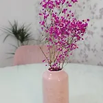 Cozy Ii Banja Luka